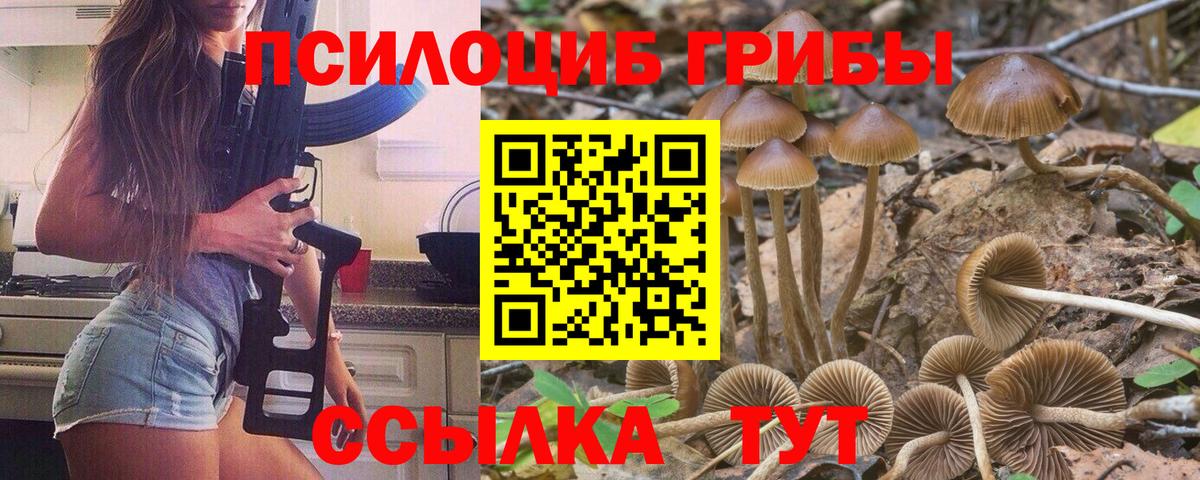 Энгельс  Псилоцибиновые грибы мицелий  Вход с VPN 